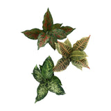 Kopu® set 3 verschillende kunstplantjes 25 cm hoog