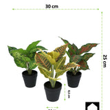 Kopu® set 3 verschillende kunstplantjes 25 cm hoog