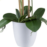 Kopu® Kunstbloem Orchidee 62 cm Wit met witte Pot - Phalenopsis