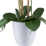 Kopu® Kunstbloem Orchidee 62 cm Wit met witte Pot - Phalenopsis