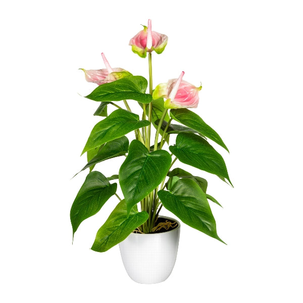 Kopu 2 Stuks Anthurium Roze Kunstplant 40 cm - Flamingoplant Roze