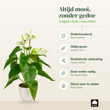 Kopu® 2 stuks Anthurium Wit Kunstplant 40 cm - Flamingoplant Wit