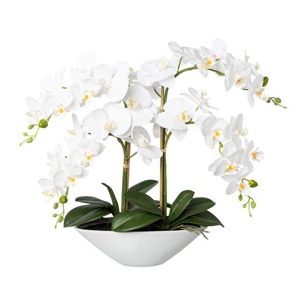 Kopu® Kunstbloem Orchidee 53 cm Wit met Schaal Ovaal - Phalenopsis