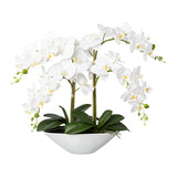 Kopu® Kunstbloem Orchidee 53 cm Wit met Schaal Ovaal - Phalenopsis