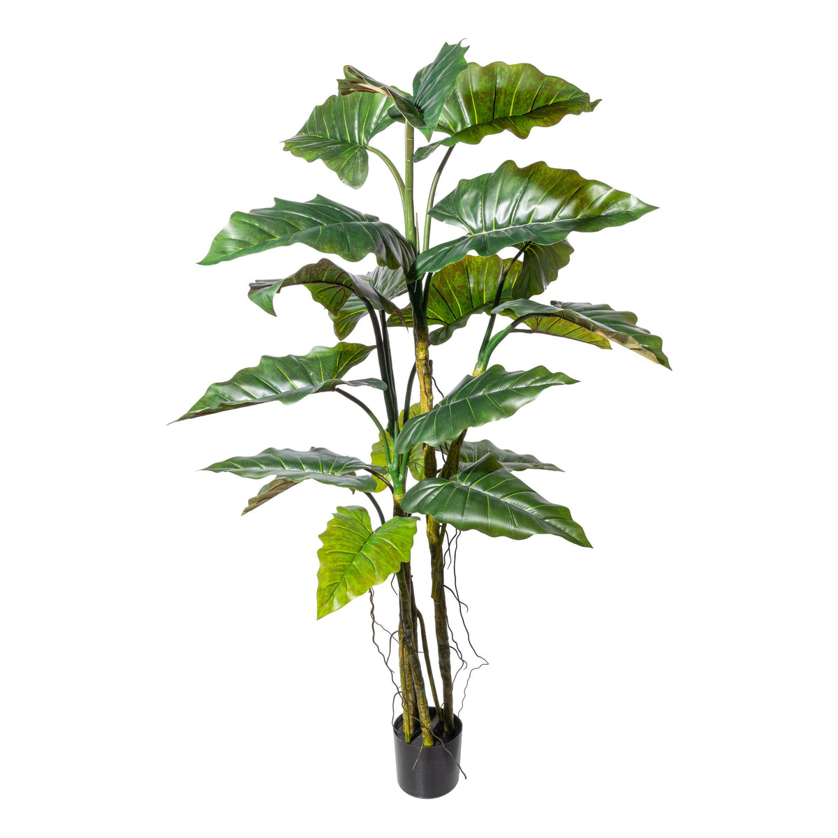 Kopu® Kunstplant Colocasia 180 cm - 19 bladeren - in zwarte pot