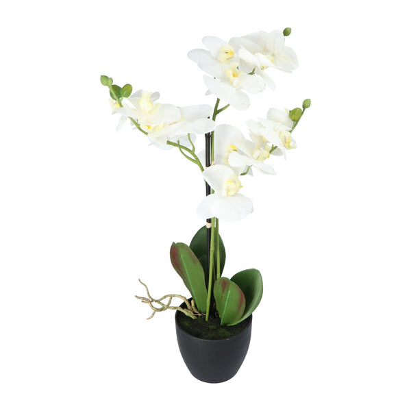 Kopu® Kunstbloem Orchidee 65 cm Wit met zwarte Pot - Phalenopsis
