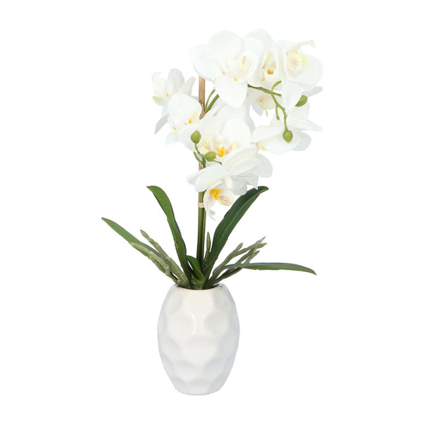 Kopu® Kunstplant Orchidee 33 cm in witte Sierpot 13x9cm - Wit