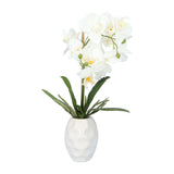 Kopu® Kunstplant Orchidee 33 cm in witte Sierpot 13x9cm - Wit