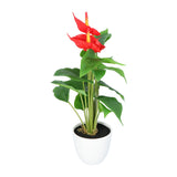 Kopu® 2 stuks Anthurium Kunstplant 40 cm - 3 bloemen - Flamingoplant