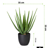 Kopu® Kunstplant Aloe Vera 55 cm in zwarte Bloempot - 17 bladeren
