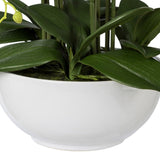 Kopu® Kunstbloem Orchidee 54 cm Wit met Schaal - Phalenopsis