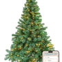 Kerstboom Excellent Trees® LED Stavanger 240 cm met 650 LED Lampjes  - ⌀140cm - ↕240cm
