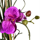 Kopu® Kunstplant Orchidee 160 cm Roze in Hoge Bloempot - Phalaenopsis