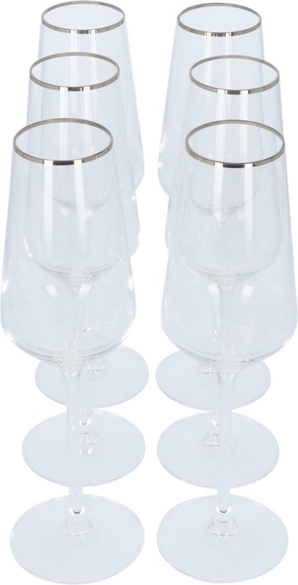 Alvito Champagneglazen set van 6 stuks - inhoud 21 cl - met Zilveren Rand