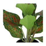 Kopu® set 3 verschillende kunstplantjes 25 cm hoog