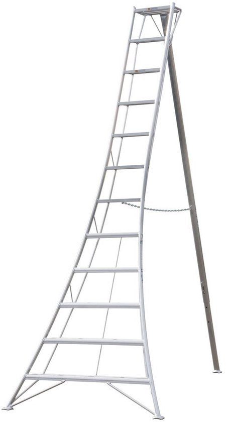 Niwaki - Tuinladder - NW03600
