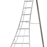 Niwaki - Tuinladder - NW03600