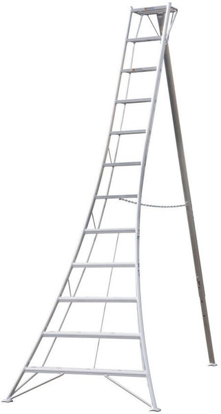 Niwaki - Tuinladder - NW03600