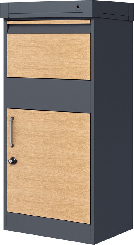 4gardenz® Pakketbrievenbus XL - Staande - Pakketbox - Antraciet