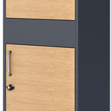 4gardenz® Pakketbrievenbus XL - Staande - Pakketbox - Antraciet