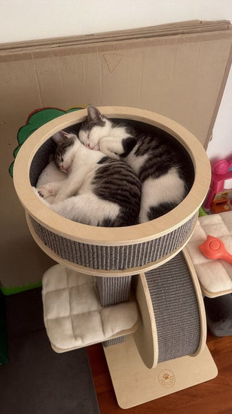 4animalz® Stabiele Krabpaal met katten Loopwiel - 106 cm hoog