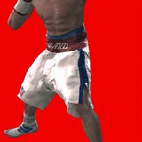 Fight Night - Round 3