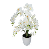 Kopu® Kunstbloem Orchidee 67 cm Wit In Bloempot Rond - Phalaenopsis