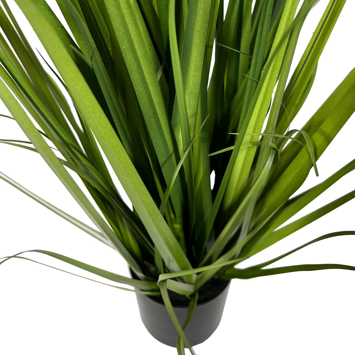 Kopu® Kunstplant Miscanthus 78 cm - in zwarte pot - Nepgras