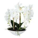 Kopu® Kunstbloem Orchidee 53 cm Wit met Schaal Ovaal - Phalenopsis