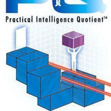 PQ - Practical Intelligence Quotient