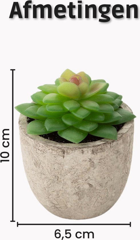 GreenDream® Mini Kunstplanten - Vetplanten in Pot 6 stuks - Cadeautip