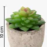 GreenDream® Mini Kunstplanten - Vetplanten in Pot 6 stuks - Cadeautip