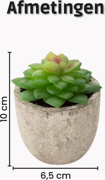 GreenDream® Mini Kunstplanten - Vetplanten in Pot 6 stuks - Cadeautip