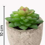 Kunstplanten - Vetplanten - stuks - Cadeautip