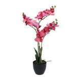 Kopu® Kunstbloem Orchidee 65 cm Lila met zwarte Sierpot - Phalenopsis