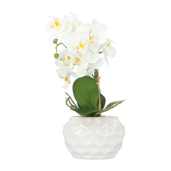 Kopu Kunstplant Orchidee 33 cm - In Witte Sierpot 13x9cm - Wit