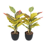 Kopu® 2 stuks Kunstplant Croton 35 cm - 14 bladeren - in zwarte pot