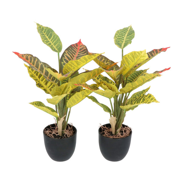 Kopu® 2 stuks Kunstplant Croton 35 cm - 14 bladeren - in zwarte pot