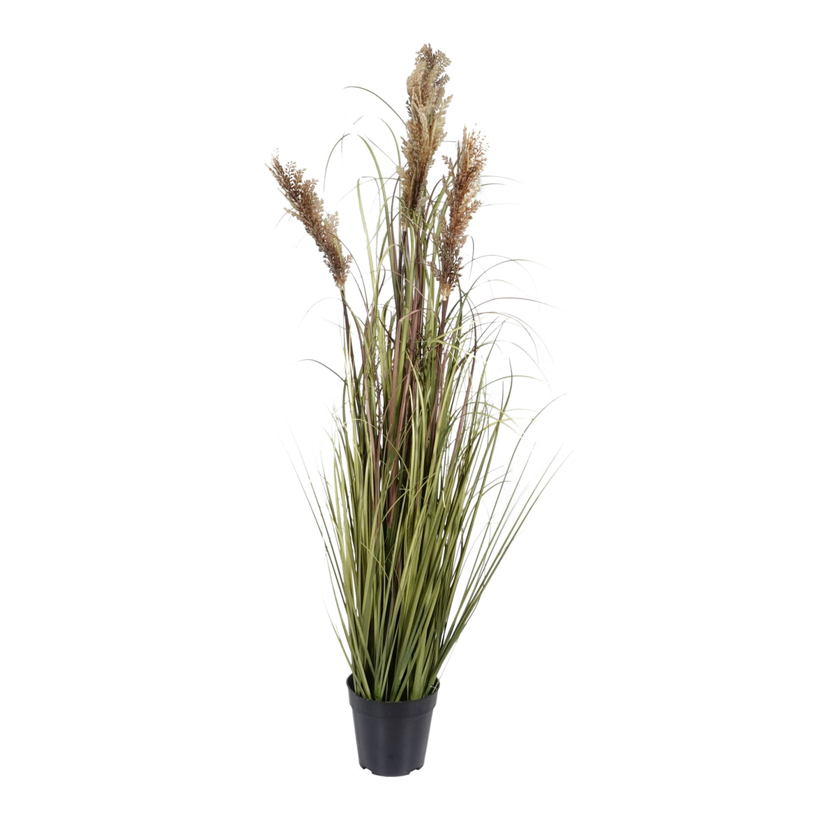 Kopu® Kunstplant Pluimgierst 122 cm - 5 halmen - in zwarte pot