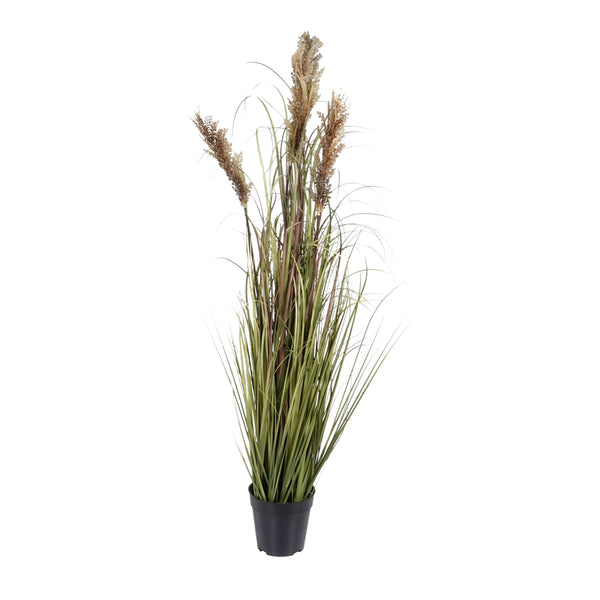 Kopu® Kunstplant Pluimgierst 122 cm - 5 halmen - in zwarte pot