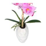 Kopu® Kunstplant Orchidee 33 cm in witte Sierpot 13x9cm - Roze