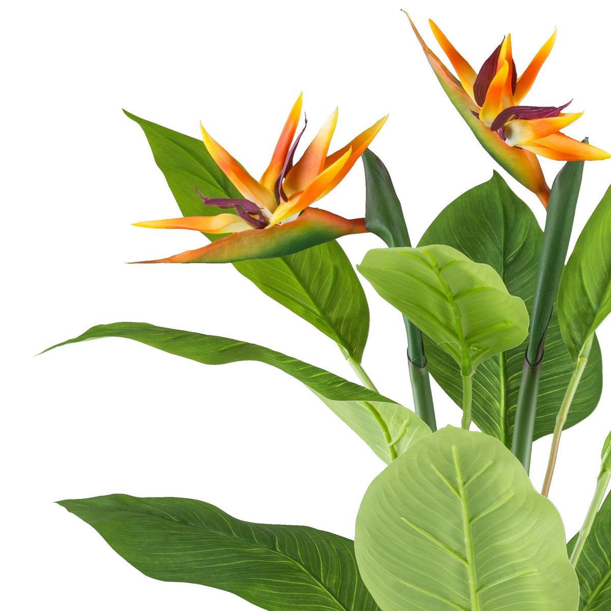 Kopu® Kunstplant Strelitzia 80cm pot wit-groen - Paradijsvogelplant