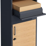 4gardenz® Pakketbrievenbus XL - Staande - Pakketbox - Antraciet