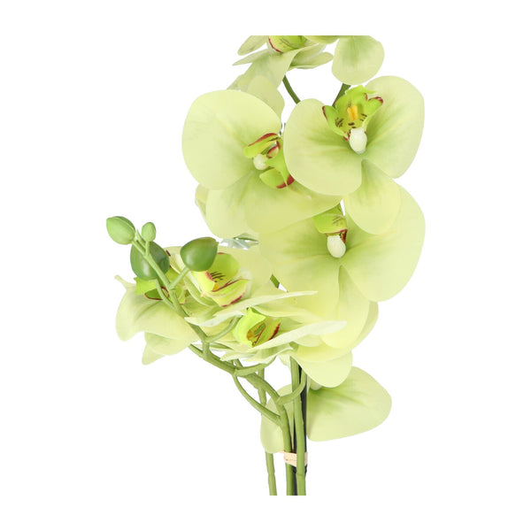 Kopu® Kunstbloem Orchidee 65 cm Groen met zwarte Schaal - Phalenopsis