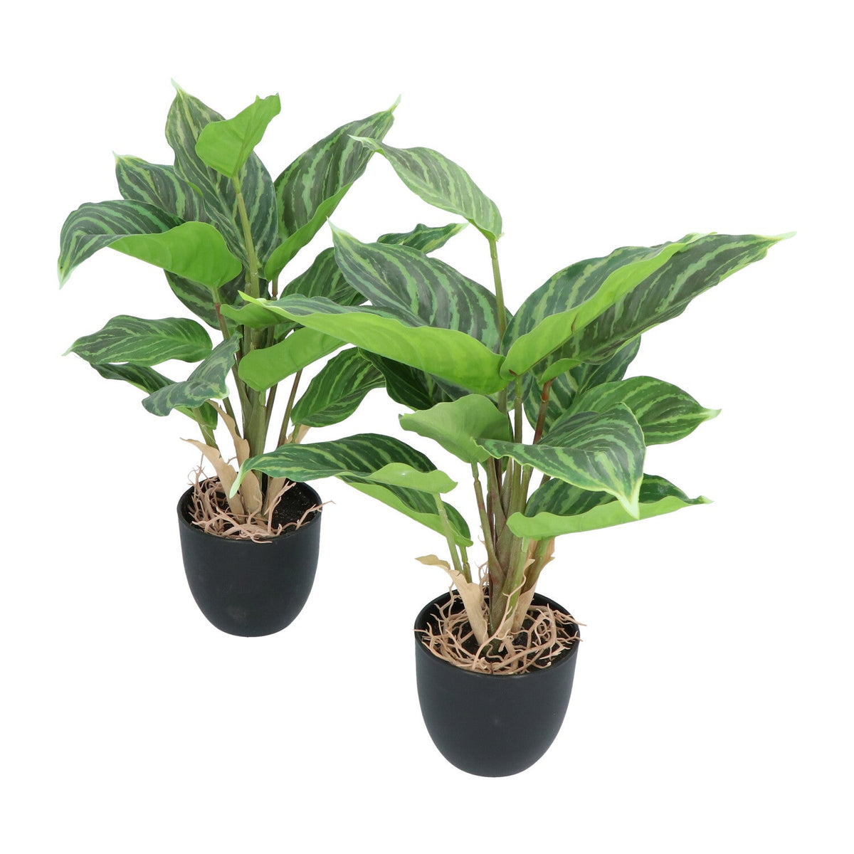 Kopu® 2 stuks Kunstplant Aglaonema 35 cm - 14 bladeren - in zwarte pot