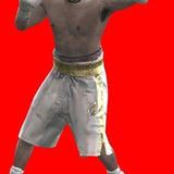 Fight Night - Round 3
