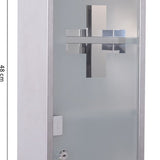 4goodz Medicijnkastje EHBO-kastje met slot RVS 12x25x48 cm