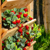 Westmann verhoogde plantenbak Premium XL - 65x90x73 cm