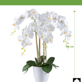 Kopu® Kunstbloem Orchidee 62 cm Wit met witte Pot - Phalenopsis