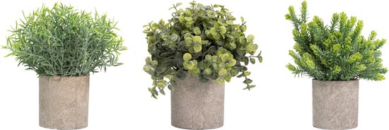 GreenDream® Kunstplanten set met 3 Kleine kunstplanten 20 cm - Cadeautip